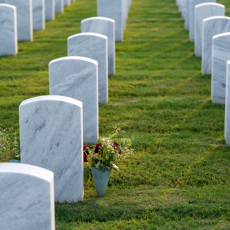 Rangées de tombes blanches uniformes dans un cimetière verdoyant. Une stèle marquée '1 659' porte un bouquet de fleurs. Lumière matinale solennelle.